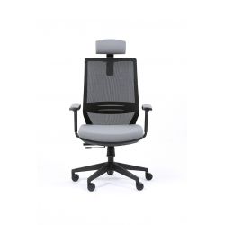 Fauteuil ergonomique TECSY...