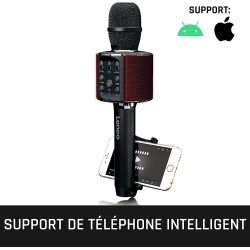 MICROPHONE DE KARAOKE SANS FIL