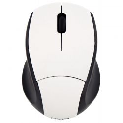 Souris et Track Ball