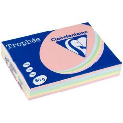 Papiers Reprographiques Couleur 80G