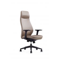 Fauteuil présidentiel haut...
