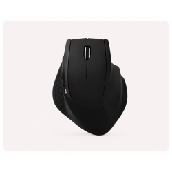 Souris sans fil ergonomique