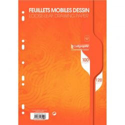 Sachet 50 feuillets mobiles...