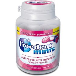 FREEDENT MINTS FRUITS DE...