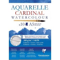 Bloc aquarelle cardinal...