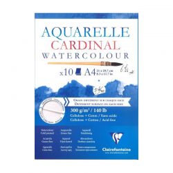 Bloc aquarelle cardinal...